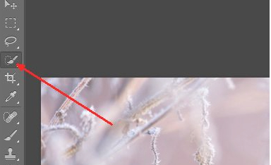 ps怎么把图抠出来第2步