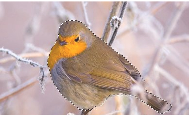 ps怎么把图抠出来第3步