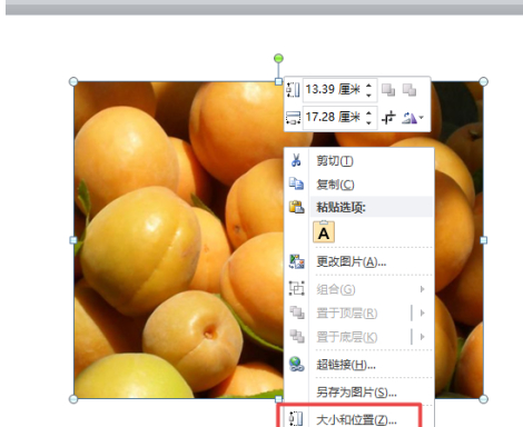 设置幻灯片最佳比例第5步