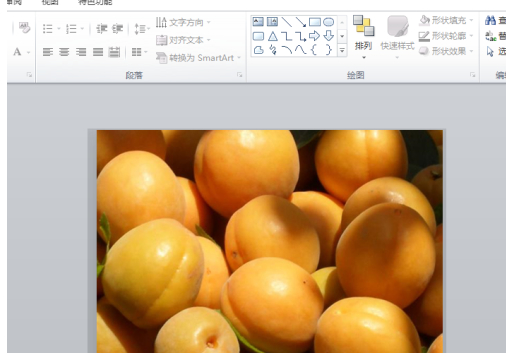 设置幻灯片最佳比例第8步