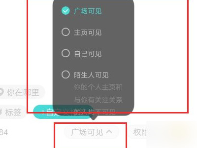 soul匿名瞬间怎么发第6步
