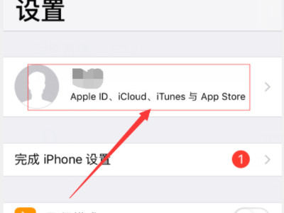 苹果手机怎么退出id登录第1步