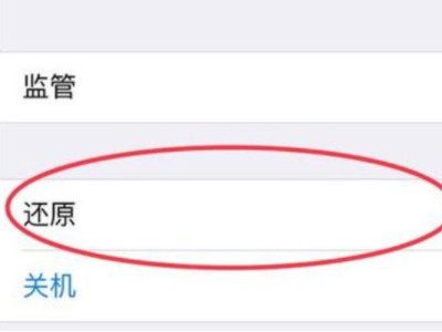 苹果面容一直在取景框原因第3步