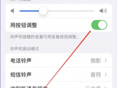 苹果手机没铃声了怎么回事第4步