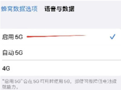 苹果12怎么开5g网络第4步