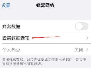 苹果12怎么开5g第2步