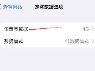 苹果12怎么开5g第3步