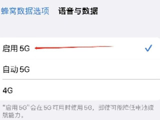 苹果12怎么开5g第4步