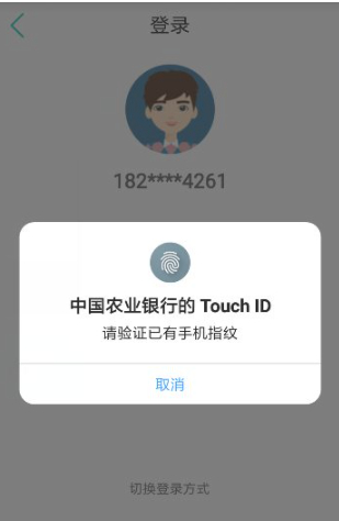 手机上怎么查农行余额第4步