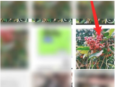 照片怎么去除水印文字第2步