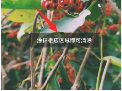 照片怎么去除水印文字第5步