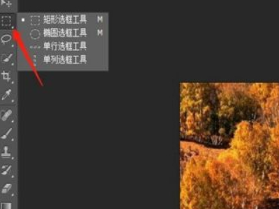怎么去掉照片上的水印和文字第2步