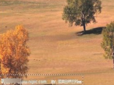 怎么去掉照片上的水印和文字第3步