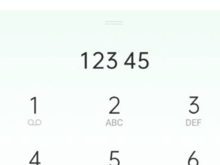 中央12345怎么拨打第3步