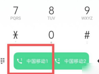 中央12345怎么拨打第4步