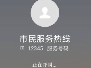 中央12345怎么拨打第5步