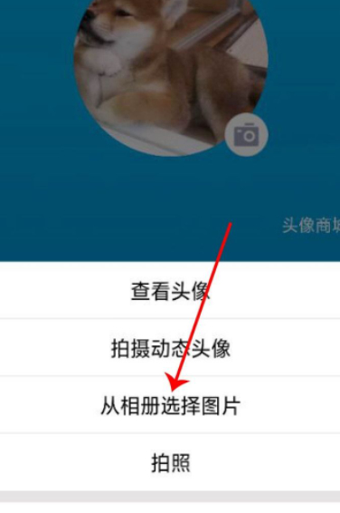qq怎么从相册使用动态头像第6步