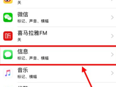 苹果手机怎么设置没有信息提示第3步