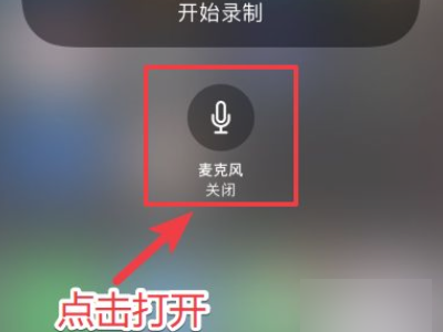 苹果录制屏幕在哪设置声音第6步