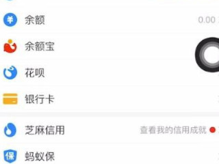 支付宝保险如何退掉第1步