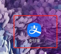 怎么查看支付宝开通的服务第1步