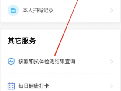 手机怎么查核酸检测结果第3步