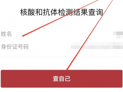 手机怎么查核酸检测结果第4步