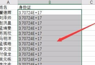 表格中身份证号显示是E+数字 怎么正常显示第1步