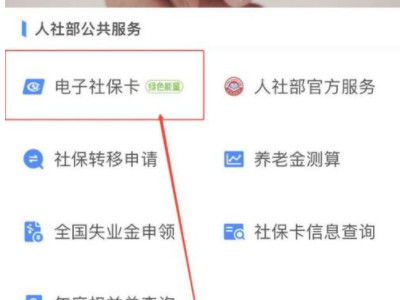 社保认证在手机上怎么操作第3步