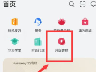 鸿蒙系统怎么更新第1步