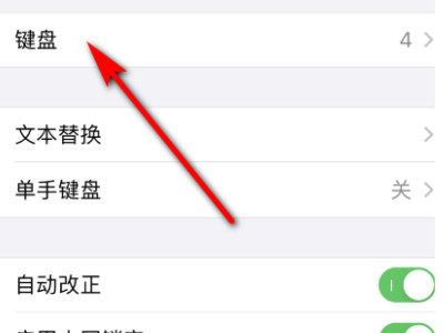 苹果手机手写键盘怎么设置第3步