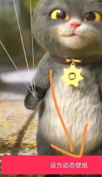 华为抖音动态壁纸怎么设置锁屏第7步