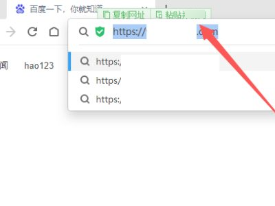 复制链接到浏览器打开第2步