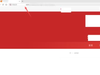 复制链接到浏览器打开第3步