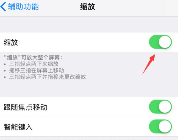 苹果手机缩放怎么关闭第7步