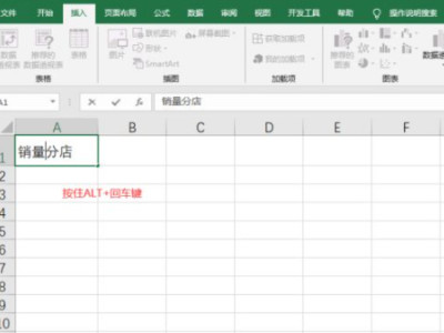 excel表格斜线一分为二怎么弄第5步