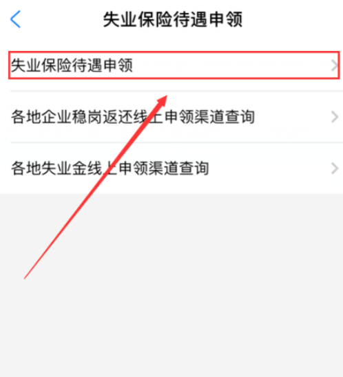 支付宝失业补助金网上申请流程第4步
