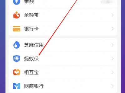 支付宝如何交农村养老保险第1步
