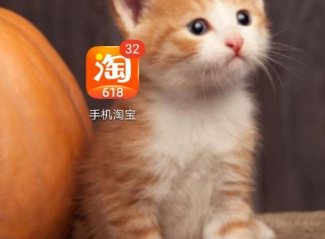 手机淘宝订单号在哪看第1步