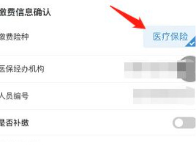 贵州医保怎么在微信上缴费第6步
