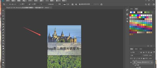 一寸照片尺寸比例怎么调整第5步