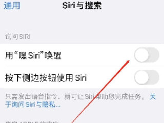 苹果12怎么用siri第2步