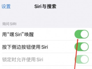 为什么siri呼不出来第3步
