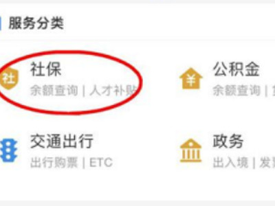 如何在支付宝上交医保第2步