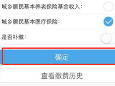 如何在支付宝上交医保第5步
