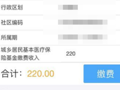 如何在支付宝上交医保第6步