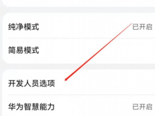 华为手机怎样恢复彩屏第2步