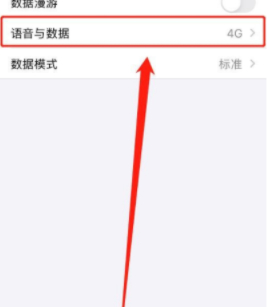 iphone 12怎么关闭5g网络第4步