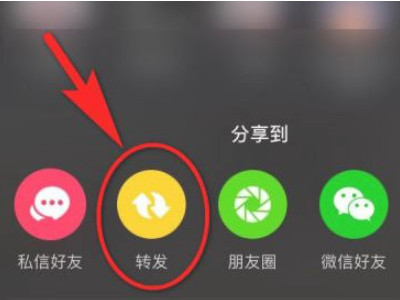 抖音转发在哪里能看到第5步