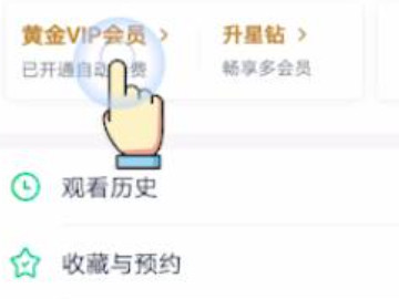 爱奇艺自动续费怎么退回钱第2步